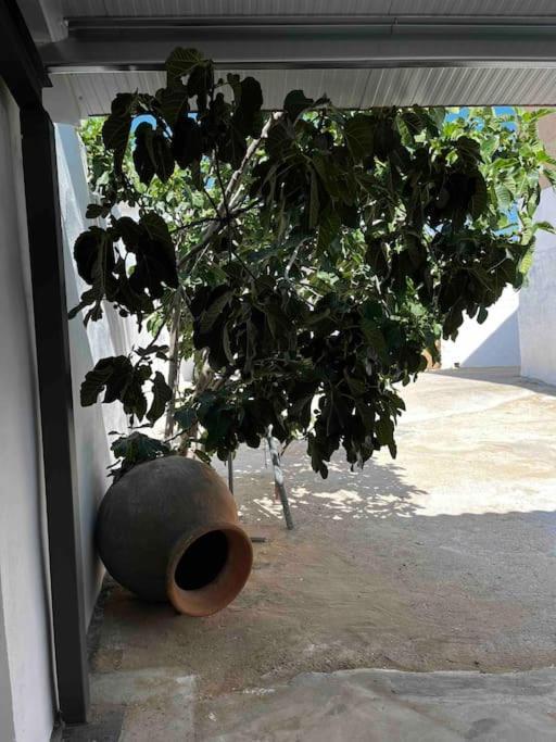 Villa Agradable Casa Con Chimenea Interior Y Barbacoa. Graja de Iniesta Exterior foto